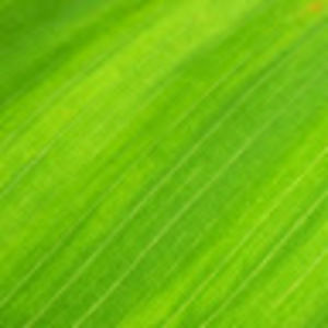 Meet your Posher, Amar